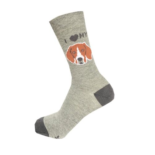 Beagle Socks