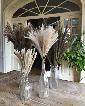 Set de 4 Bouquets d'herbes à Plumes décoratives 2