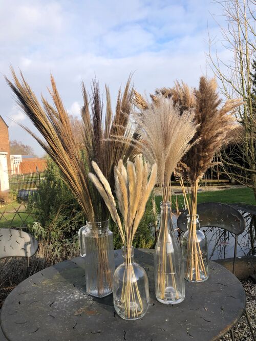 Set de 4 Bouquets d'herbes à Plumes décoratives