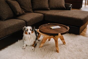 Table basse, Table basse en bois 4