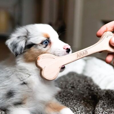 Giocattolo per cani, giocattolo per cani in osso di legno piccolo
