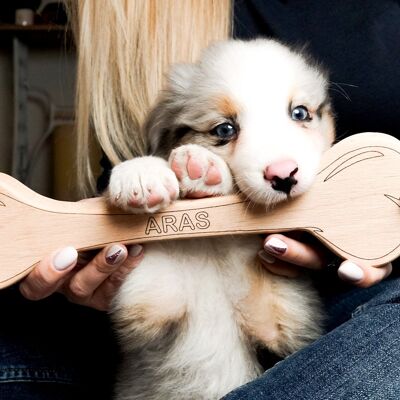 Gioco per cani - giocattolo per cani in legno osso BIG - Senza incisione