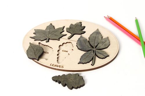 Kids educational board, Leaves names learning board toy for kids, Wooden Montessori game