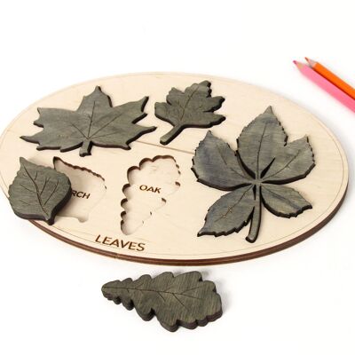 Kids educational board, Leaves names learning board toy for kids, Wooden Montessori game