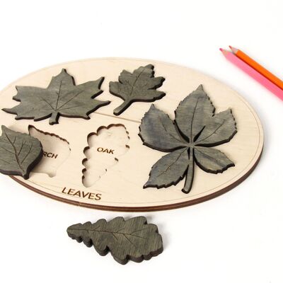Tableau éducatif pour enfants, jouet de tableau d'apprentissage des noms de feuilles pour enfants, jeu Montessori en bois