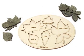 Tableau éducatif pour enfants, jouet de tableau d'apprentissage des noms de feuilles pour enfants, jeu Montessori en bois 5