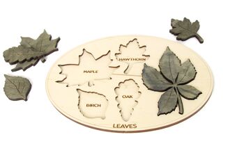Tableau éducatif pour enfants, jouet de tableau d'apprentissage des noms de feuilles pour enfants, jeu Montessori en bois 6