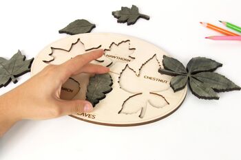 Tableau éducatif pour enfants, jouet de tableau d'apprentissage des noms de feuilles pour enfants, jeu Montessori en bois 10