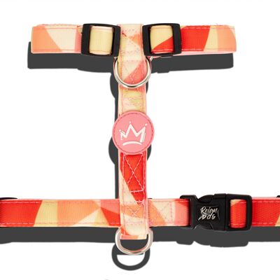 Melon Felon - Neoprene Padded H Harness