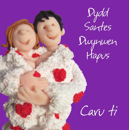 Caru ti Dydd Santes Dwynwen Welsh language Valentines card