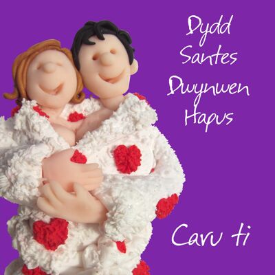 Caru ti Dydd Santes Dwynwen Welsh language Valentines card