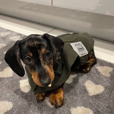 Puppy Waterproof Wax Jacket - Puppy Dachshund miniature - Olive Green/ Herringbone green tweed lining