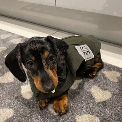 Puppy Waterproof Wax Jacket - Puppy Dachshund Standard - Beaver Broown / Brown Tartan lining
