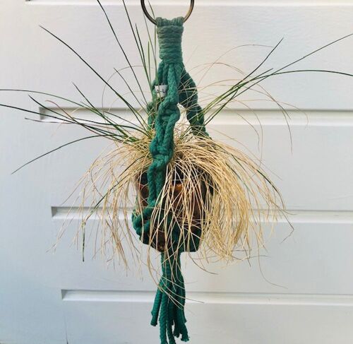 sustainable mini plant hanger macrame made of cotton - pine green - handmade in Nepal macrame mini plant hanger green