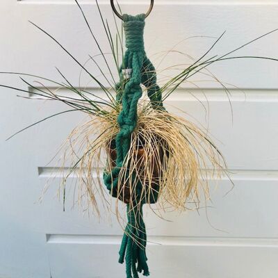 sustainable mini plant hanger macrame made of cotton - pine green - handmade in Nepal macrame mini plant hanger green