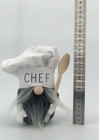 Gnome Petit Chef M 4