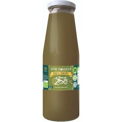 Bio-Nektar aus italienischer Kiwi und Ingwer 700 ml