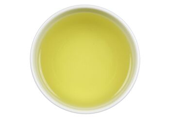 Gingembre Sencha 500gr 3