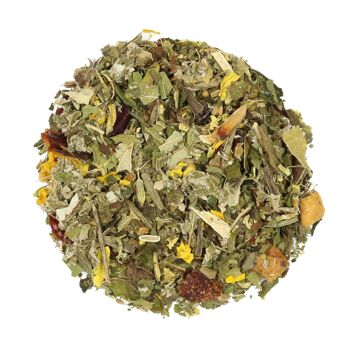 Tisane Anis 100 gr 2