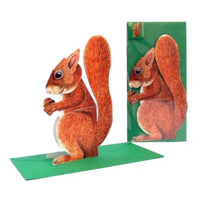 3D animal card squirrel
