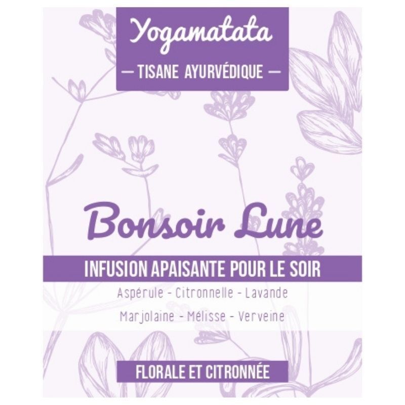 Bio-Kräutertee Guten Abend Mond