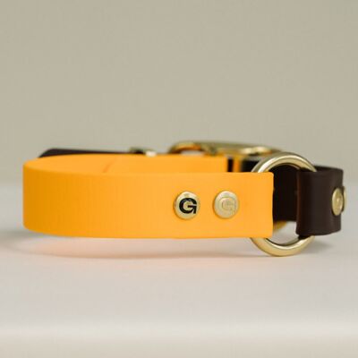 Collar para perros GULA - naranja y marrón (20 mm de ancho)