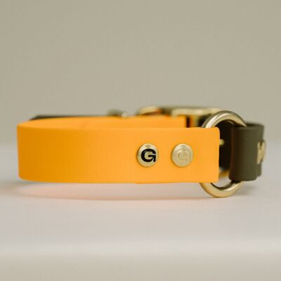 GULA Dog Collar - Orange & Olive Green  (25mm width)