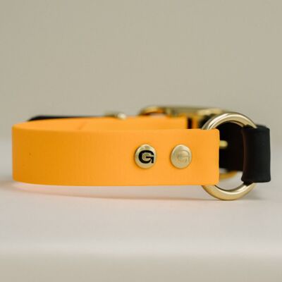 Collar para perros GULA - naranja y negro (25 mm de ancho)