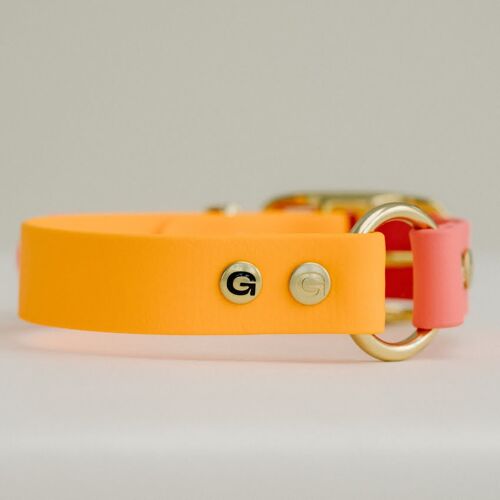 GULA Dog Collar - Orange & Pink (20mm width)