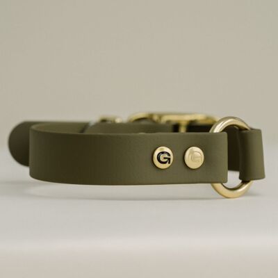 Collier pour chien GULA - Vert olive (largeur 25 mm)