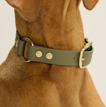 Collier pour chien GULA - Vert olive (largeur 25 mm) 3