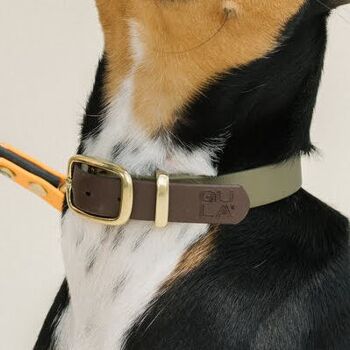 Collier pour chien GULA - Vert olive et marron (largeur 25 mm) 3