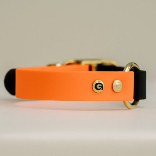 GULA Dog Collar - Bright Orange & Black (25mm width)