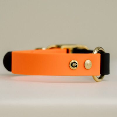 Collar para perros GULA - Naranja brillante y negro (25 mm de ancho)