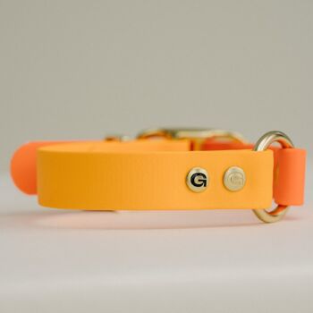 Collier pour chien GULA - Orange vif et orange (largeur 25 mm) 1