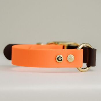 Collier pour chien GULA - Orange vif et marron (largeur 20 mm) 4