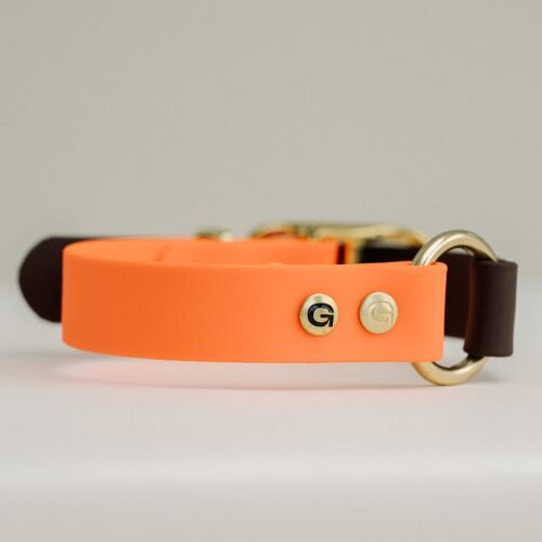 GULA Dog Collar - Bright Orange & Brown (20mm width)