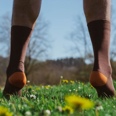 Chaussettes Forêt Noire Marron