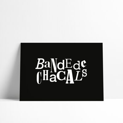 Postcard BANDE DE CHACALS - Collection of swear words and insults from the French language