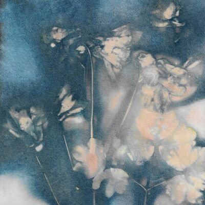 Columbine 2 Pfirsich/Blau A5