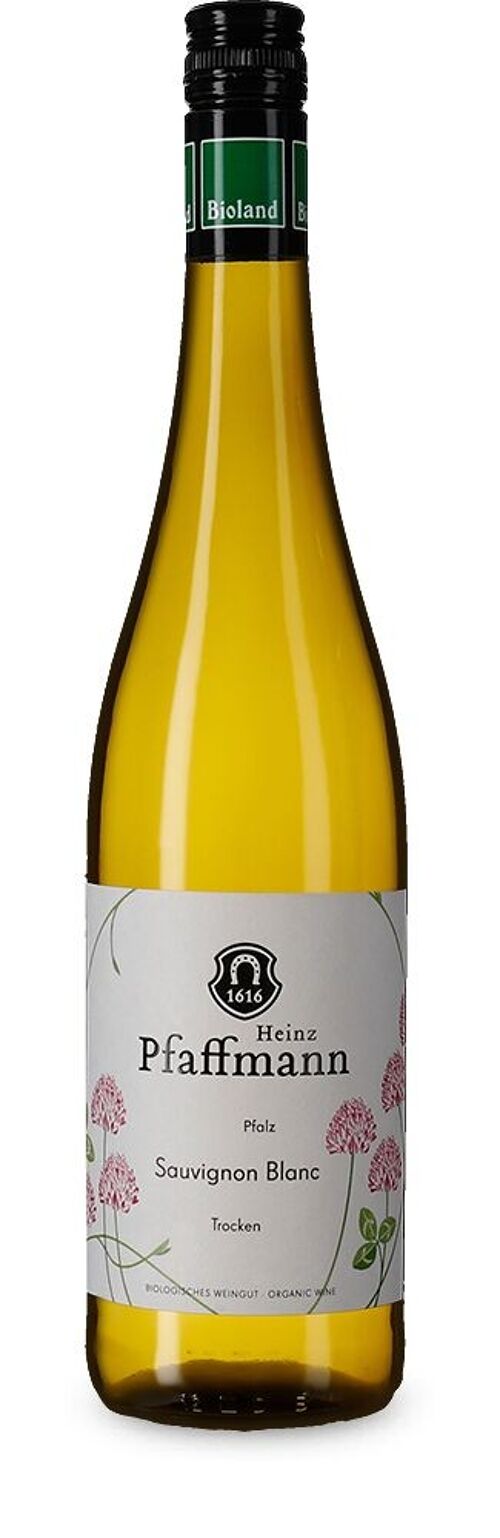 2022 Sauvignon Blanc trocken BIO - Weingut 1616 Pfaffmann Heinz Stiftung