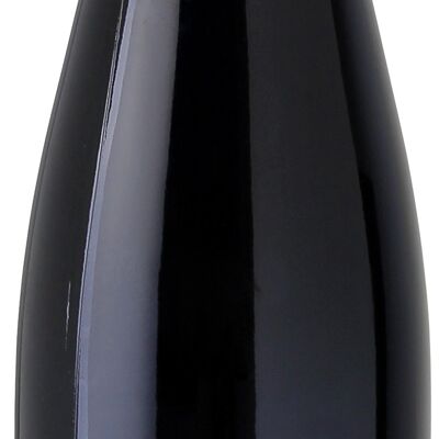 2020 Pinot nero secco biologico - Weingut 1616 Fondazione Pfaffmann Heinz