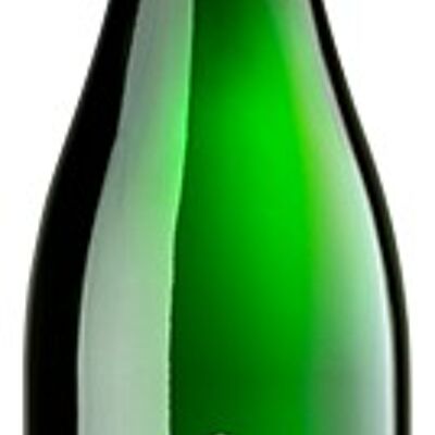 Dry Riesling sparkling wine BIO - Weingut 1616 Pfaffmann Heinz Foundation