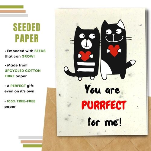 Handmade Eco Friendly Love Cards | Valentine's Day Cards | Cat Greeting Cards | Made With Plantable Seed Paper, Banana Paper, Elephant Poo Paper, Coffee Paper, Cotton Paper, Lemongrass Paper and more | Pack of 8 Greeting Cards | Purrfect for Me