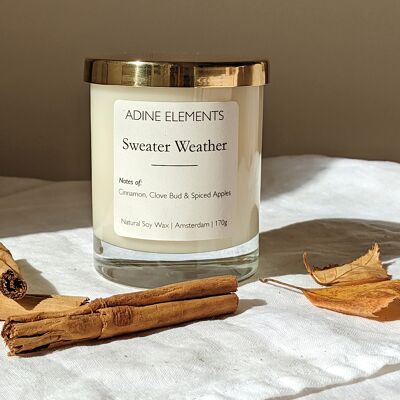 Sweater Weather ▹ Cinnamon + Clove Bud + Spiced Apple
