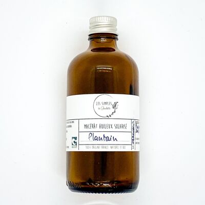 Macérât huileux solarisé - plantain 100ml