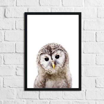 Hibou Animal Woodlands Nursery Childrens Room Print A4 Normal