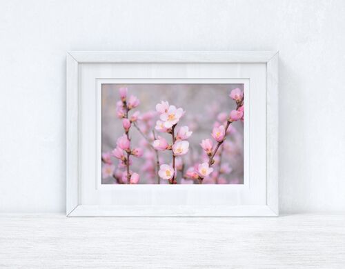 Cherry Spring Blossom Photography Spring Seasonal Home Print A4 Normal