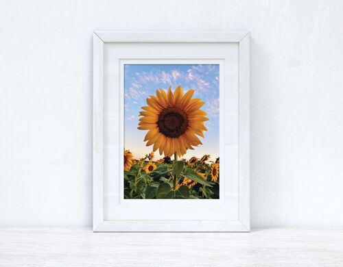 Sunflower Spring Photography Spring Seasonal Home Print A4 Normal