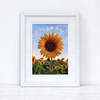 Sunflower Spring Photography Spring Seasonal Home Print A4 Normal